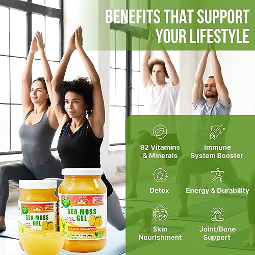 EverSmith Organics - Irish Sea Moss Gel | USA Made | Vitamins, Minerals | Organic Raw | Mango Pineapple