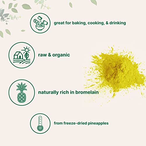 8oz Organic Pineapple Powder - Freeze-Dried, Natural, Non-GMO