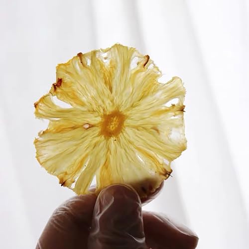 Dehydrated Pineapple Slices for Cocktails, Baking & Tea