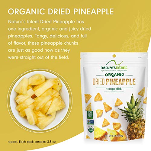 Organic Dried Pineapple - Healthy Vegan Snack Pack