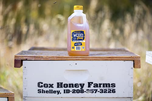 Cox's Honey 100% Pure Raw Clover Honey, 5 lbs