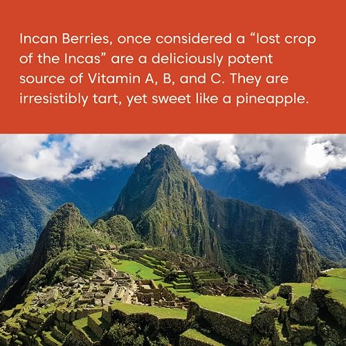 Wilderness Poets Organic Incan Berries - Bulk Size