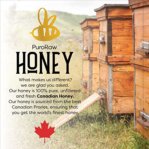 2.2 lb. White Raw Honey from Canadian Prairies