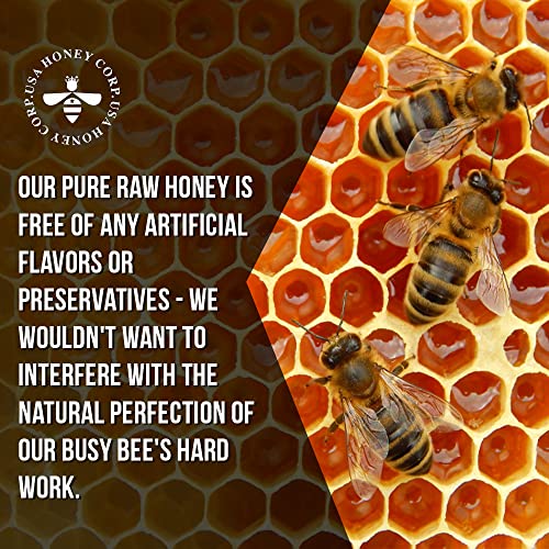 16oz Pure Raw Unfiltered Honey Squeeze Bottle No-Drip