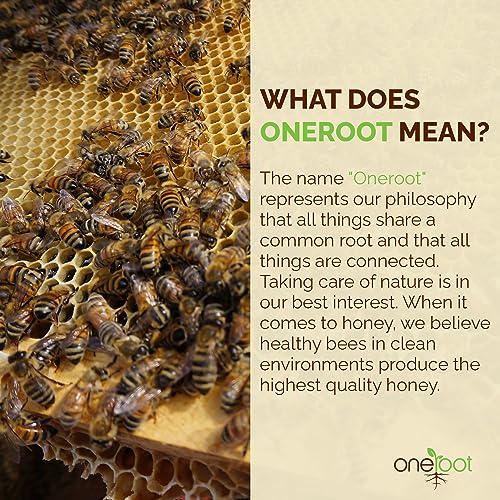 Naturally Raw Buckwheat Honey - 3kg / 6.6lb