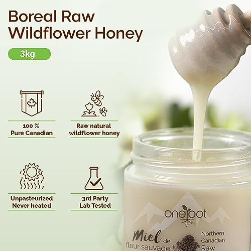 Oneroot Canadian Wildflower Honey - 3kg / 6.6lb