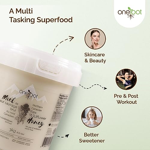 Oneroot Canadian Wildflower Honey - 3kg / 6.6lb