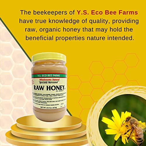 Organic Raw Honey: Unpasteurized, Unfiltered, Kosher, Gluten-Free - 22oz