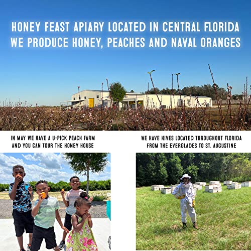 Manuka Honey Blend with Propolis | Bulk 6lb Jar