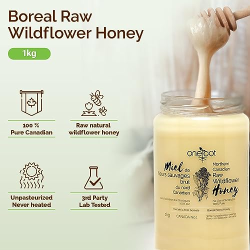 Oneroot 100% Canadian Flower Honey - 1kg / 2.2lbs