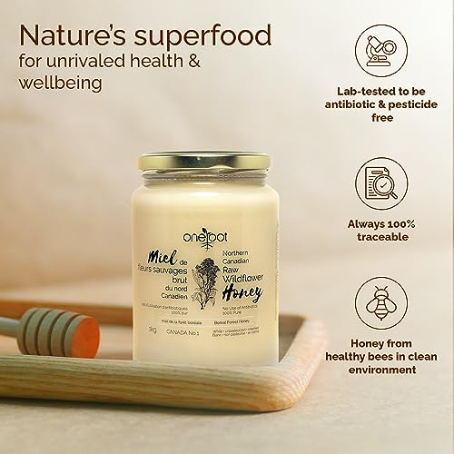 Oneroot 100% Canadian Flower Honey - 1kg / 2.2lbs