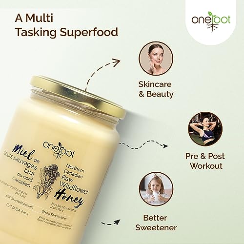 Oneroot 100% Canadian Flower Honey - 1kg / 2.2lbs