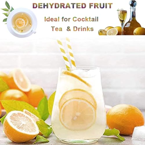 Dehydrated Lemon Slices - Cocktail, Tea, Garnish & Decor
