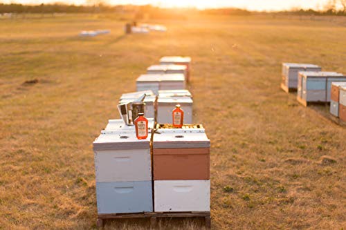 Desert Creek Raw Texas Honey, 2 lb