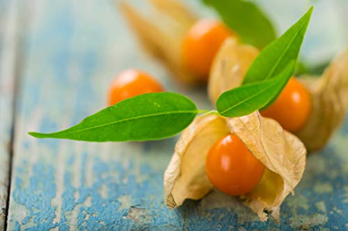 Wilderness Poets Organic Incan Berries - Bulk Size