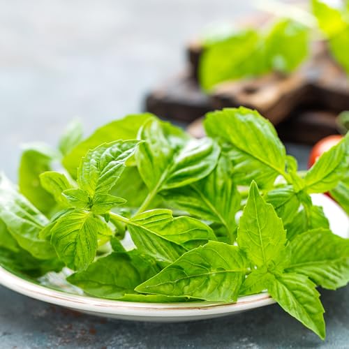 GranAroma Basil Leaves, 6.4 oz, Dried Cut Sifted