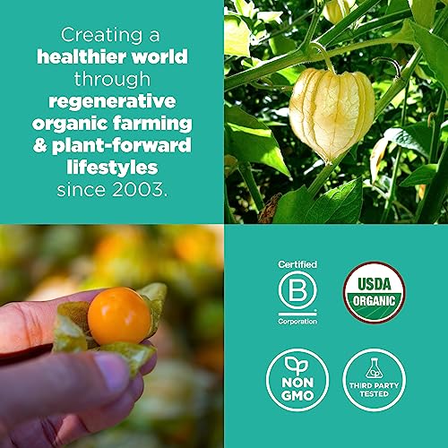 Navitas Organics Goldenberries - Organic, Non-GMO, Sun-Dried, Sulfite-Free