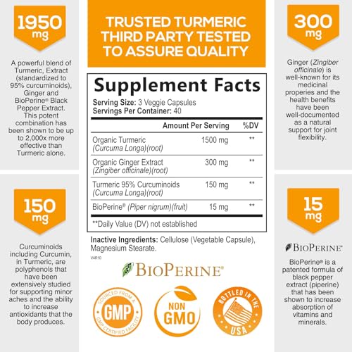 Turmeric Curcumin with BioPerine & Ginger Herbal Supplement