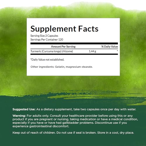 Swanson Turmeric Antioxidant Supplement, 240 Capsules, 120 Servings