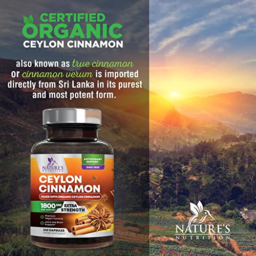 Organic Cinnamon Capsules, Non-GMO, Gluten-Free, Dairy-Free - 240 Capsules