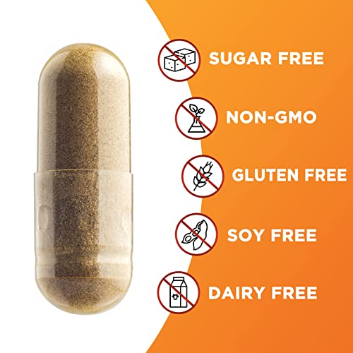 Organic Cinnamon Capsules, Non-GMO, Gluten-Free, Dairy-Free - 240 Capsules