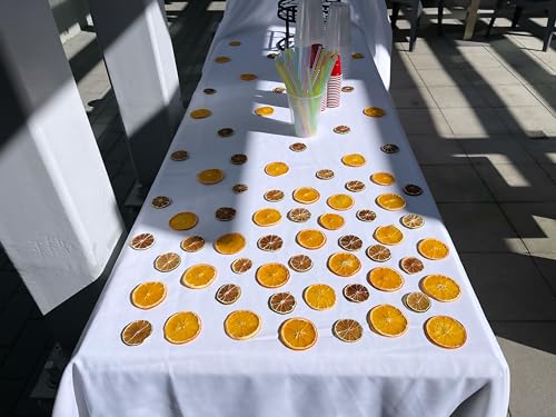 Citrus Mix Variety - 40+ Piece Dehydrated Fruit