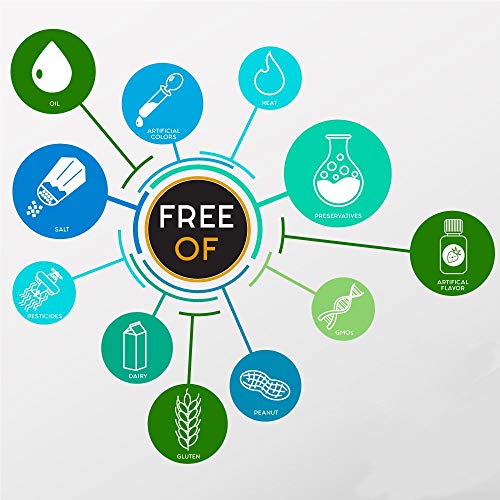 Artisana Organics Raw Cashew Butter - Vegan, Paleo - 14oz