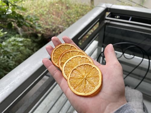 Dried Citrus Fruit Mix - 70+ Variety Pack