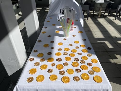 Dried Citrus Fruit Mix - 70+ Variety Pack