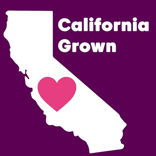 Wilderness Poets Organic Raw Pistachio Butter (8oz)