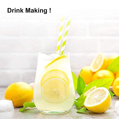 1.1lbs Dried Lemon Slices for Sour Lemon Tea