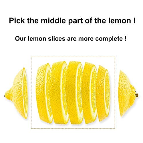 1.1lbs Dried Lemon Slices for Sour Lemon Tea