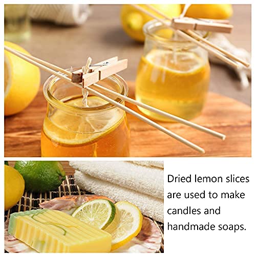 1.1lbs Dried Lemon Slices for Sour Lemon Tea