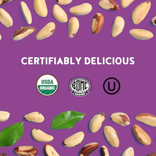 Organic Raw Brazil Nuts in Resealable Bag | Superfood