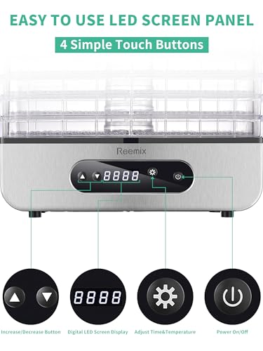 Compact Food Dehydrator Machine, 500W Dryer with Temperature