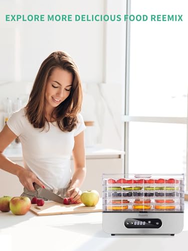 Compact Food Dehydrator Machine, 500W Dryer with Temperature