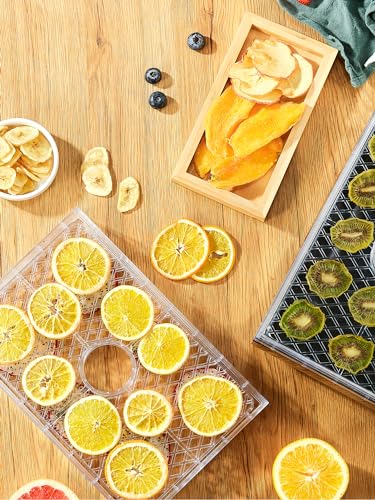 Compact Food Dehydrator Machine, 500W Dryer with Temperature