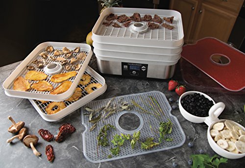 Hamilton Beach Digital Food Dehydrator for Fruits and Vegetables