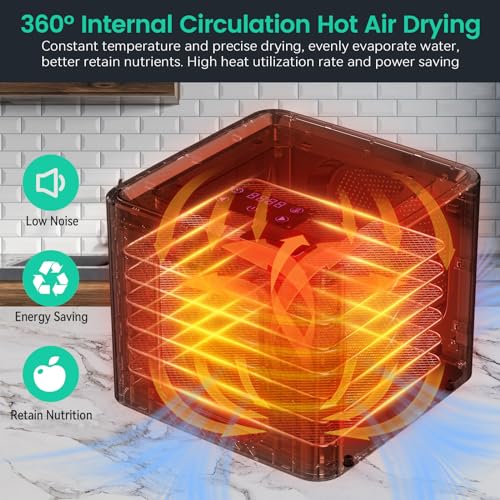 6-Tray Stainless Steel Food Dehydrator with Timer & LED