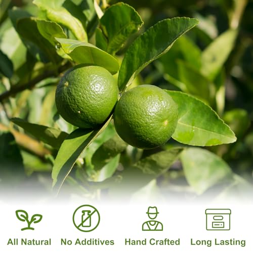 Dehydrated Lime Slices for Cocktails, Tea, Baking (100g)