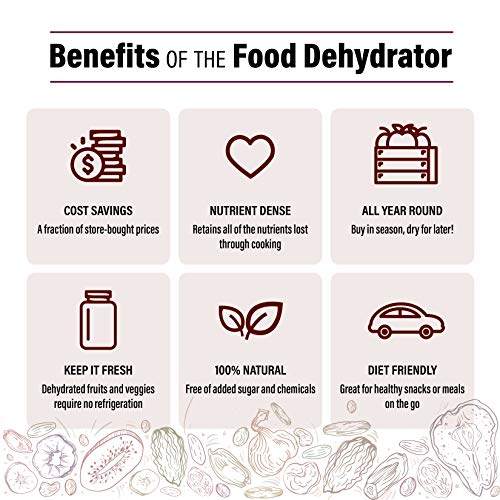 Gourmia GFD1680 Electric Food Dehydrator - 6 Trays