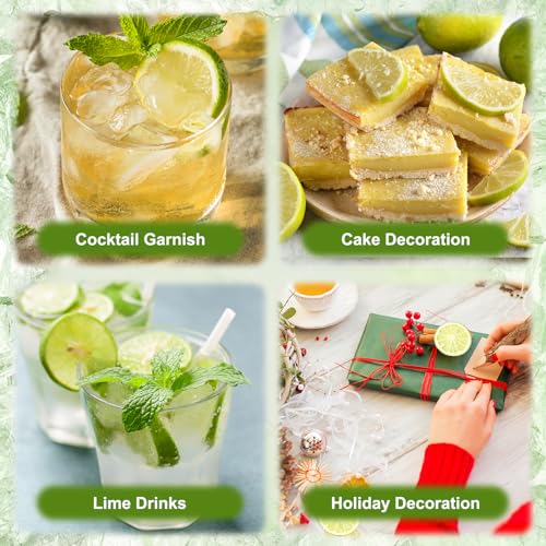Dehydrated Lime Slices for Cocktails, Tea, Baking (100g)