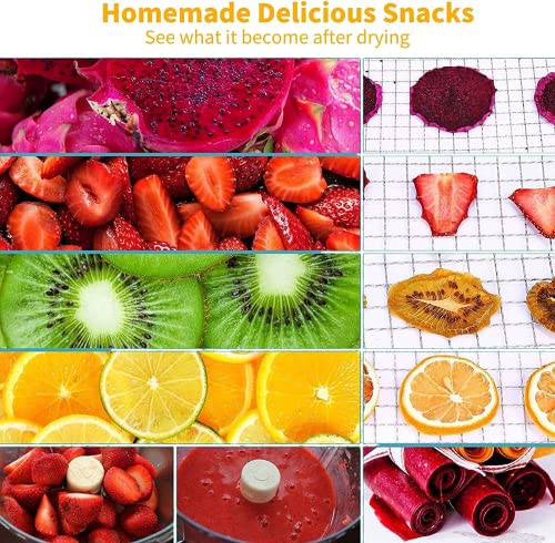 400W 8-Tray Fruit and Meat Dehydrator, BPA-Free