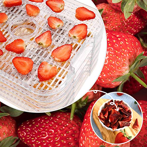 400W 8-Tray Fruit and Meat Dehydrator, BPA-Free