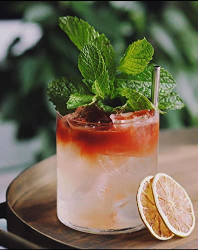 Dehydrated Lemon Slices for Cocktail Garnishes | 3.5oz