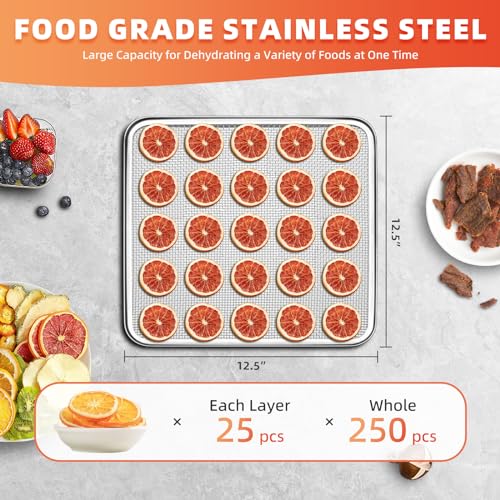 Septree Food Dehydrator for Jerky 800 Watts, 8.8ft²- 10 Stainless Steel Trays Countertop Food Dryer Machine with Adjustable Timer 190°F Temperature Control, for Jerky, Herbs, Meat, Fruit, and Yogurt