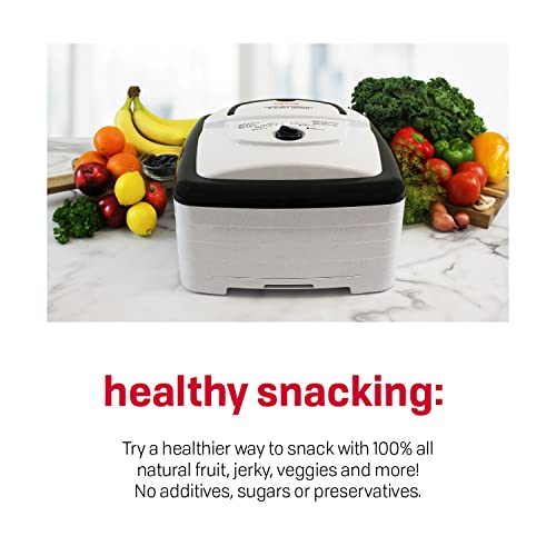 Square Shaped Food Dehydrator for Snacks, Fruit, Jerky