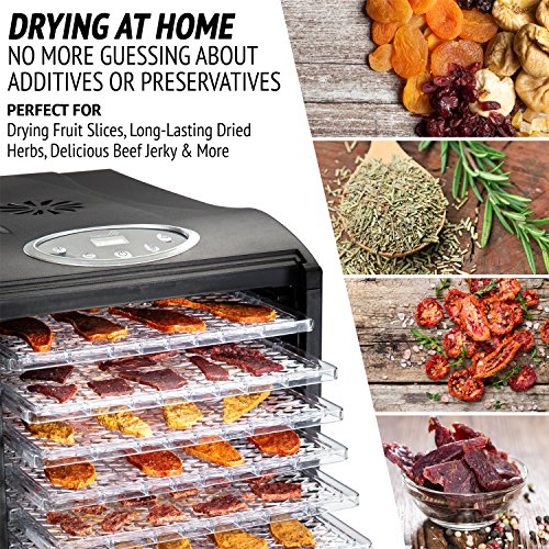 Ivation 9 Tray Digital Food Dehydrator for Raw Foods