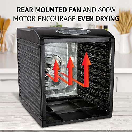 Ivation 9 Tray Digital Food Dehydrator for Raw Foods