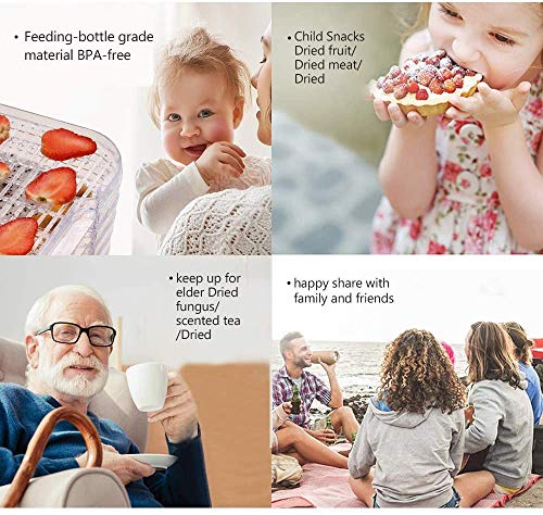 8-Tray BPA-Free Food Dehydrator for Raw Foods